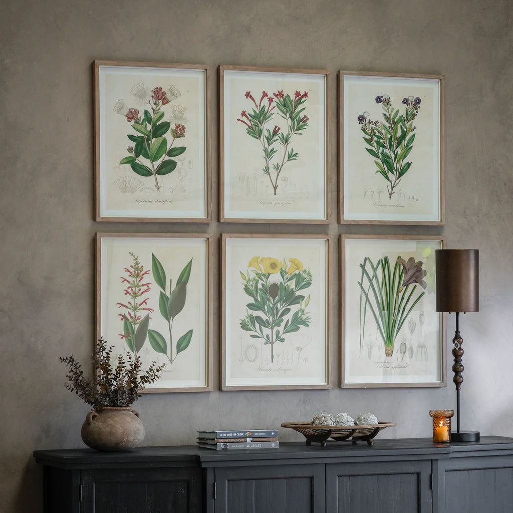 Ormington Set of Six Wildflower Framed Prints | Annie Mo's