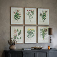 Ormington Set of Six Wildflower Framed Prints | Annie Mo's