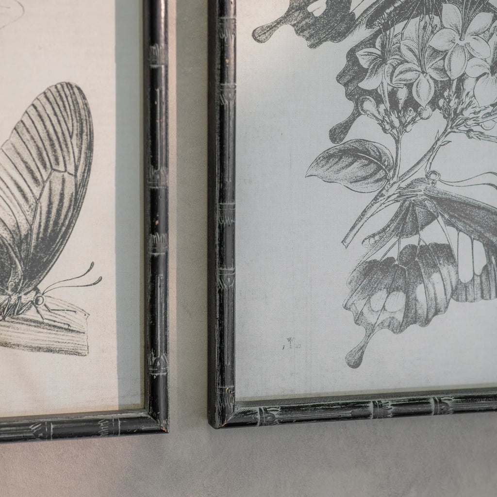 Woodstock Set of 4 Butterfly Framed Prints 60cm