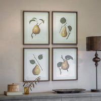 Croston Set of Four Pear Framed Prints 50cm | Annie Mo's