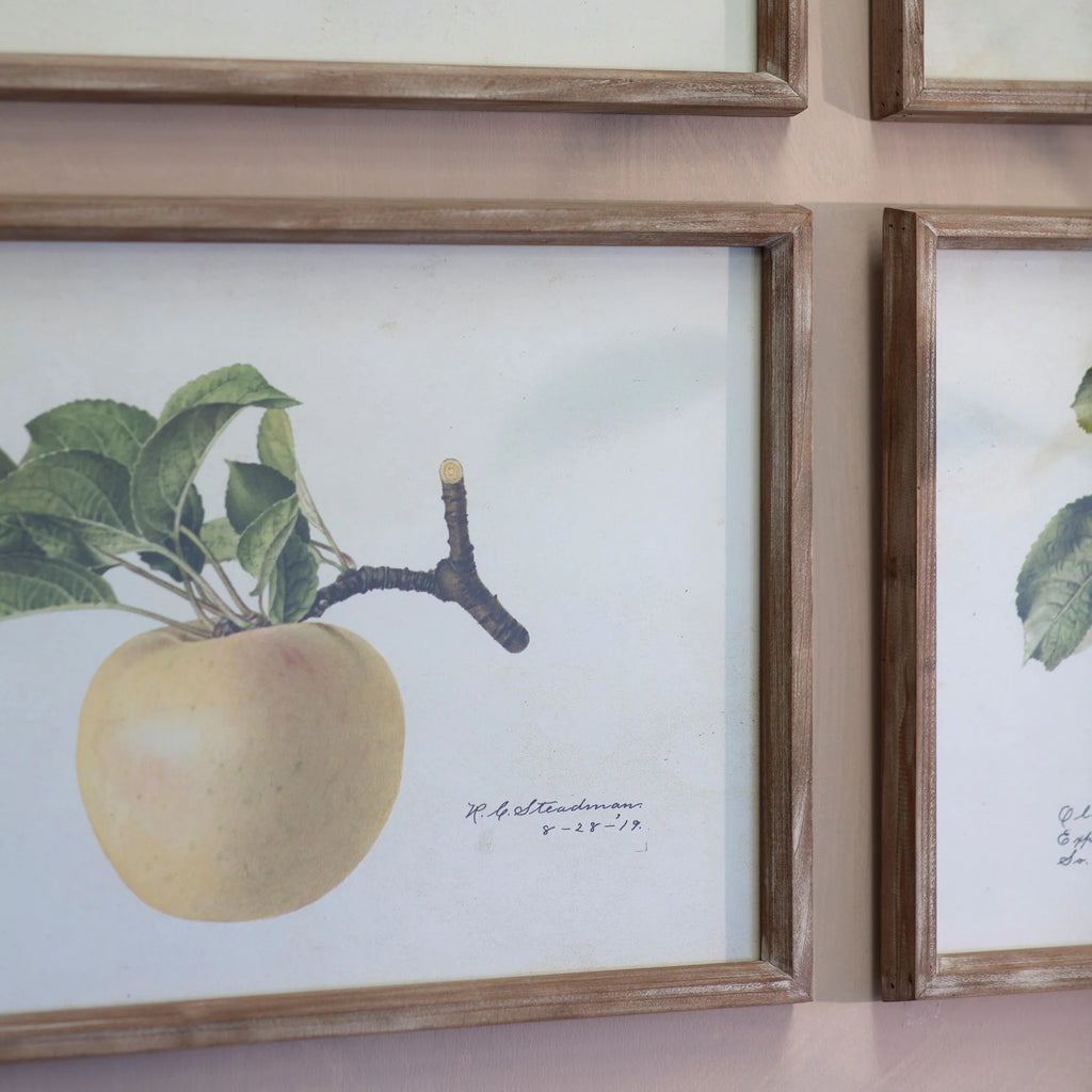 Croston Set of Four Apple Framed Prints 54cm