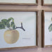 Croston Set of Four Apple Framed Prints 54cm