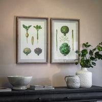 Croston Set of Two Asparagus and Artichoke Framed Prints 70cm | Annie