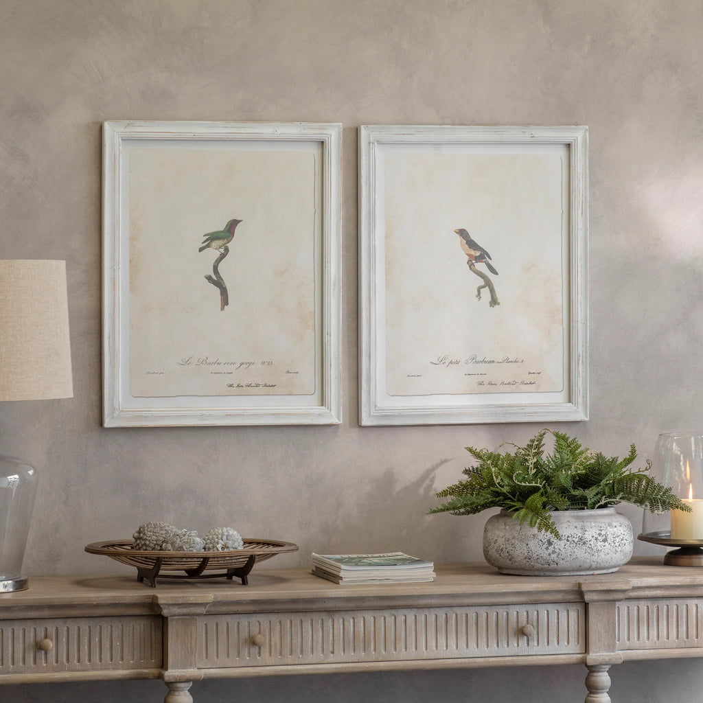 Moreton Set of Two Becard and Barbet Framed Prints 72cm | Annie Mo's