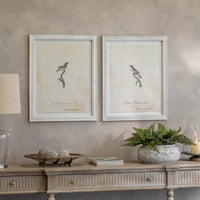 Moreton Set of Two Becard and Barbet Framed Prints 72cm | Annie Mo's