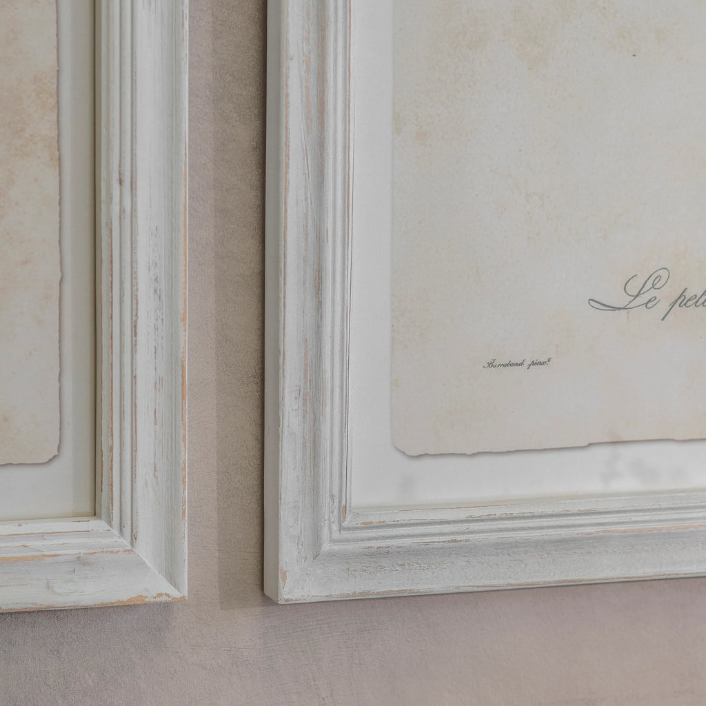 Moreton Set of Two Becard and Barbet Framed Prints 72cm