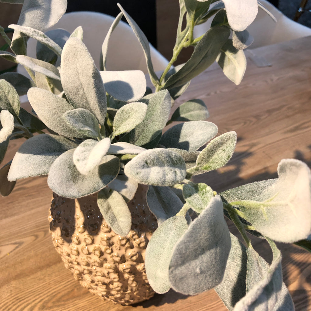 Natural Flocked Lamb's Ear Leaf Spray 72cm C