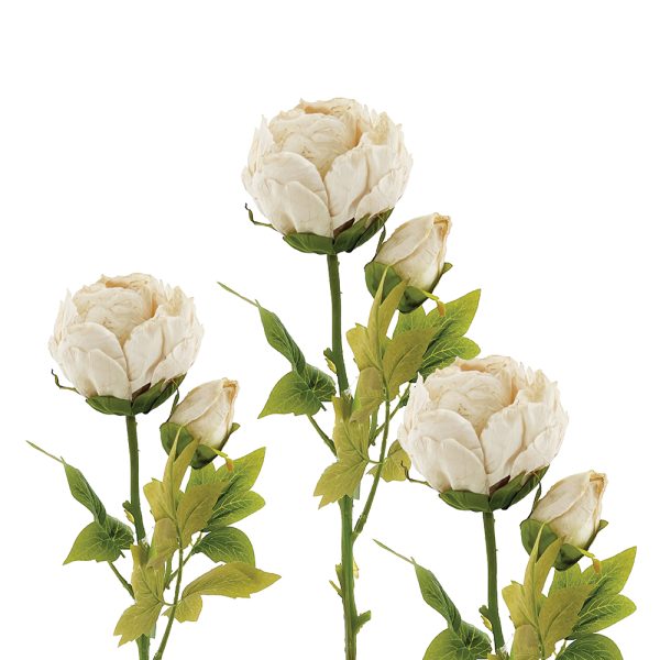 Off White Peony Stem 62cm | Annie Mo's