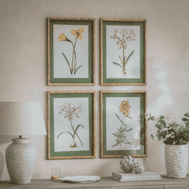 Ormington Set of Four Flower Framed Prints 55cm High Each | Annie Mo's