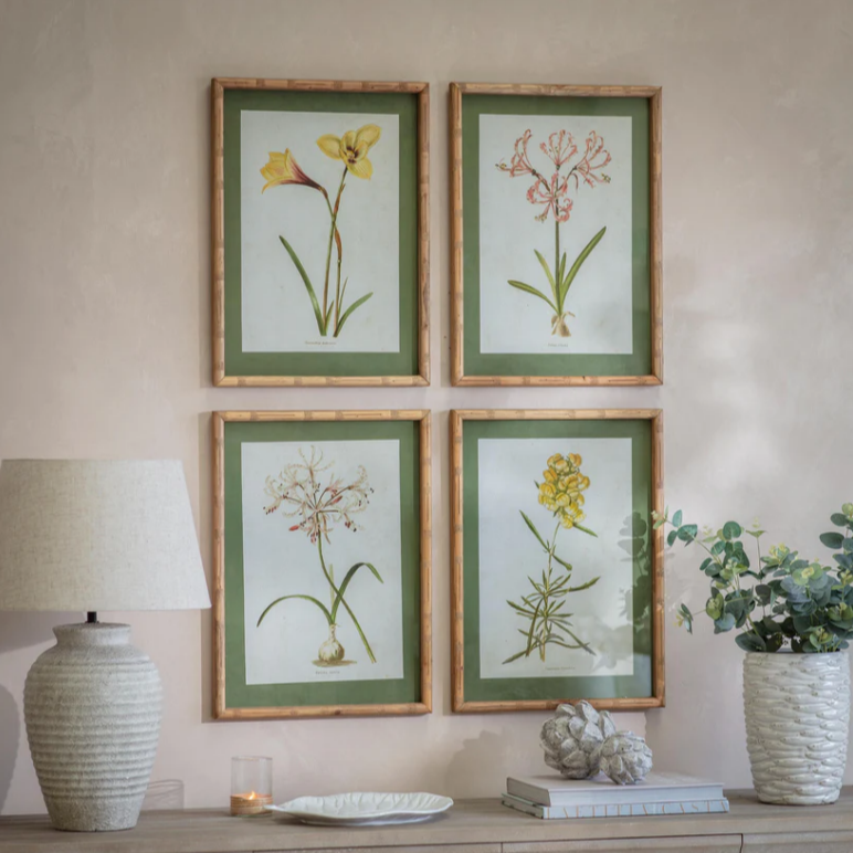 Ormington Set of Four Flower Framed Prints 55cm High Each | Annie Mo's