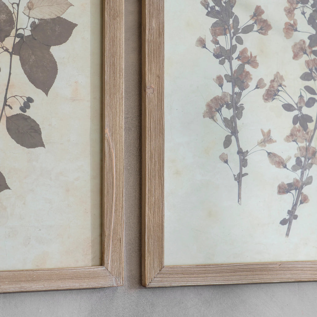 Ormington Set of Two Ornamental Leaf Framed Prints 53.8cm