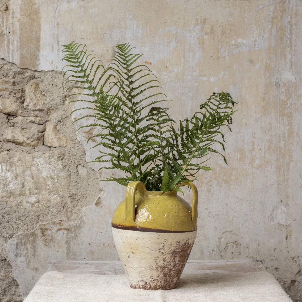 Dijon Part Glazed Vase With Handles 29cm | Annie Mo's