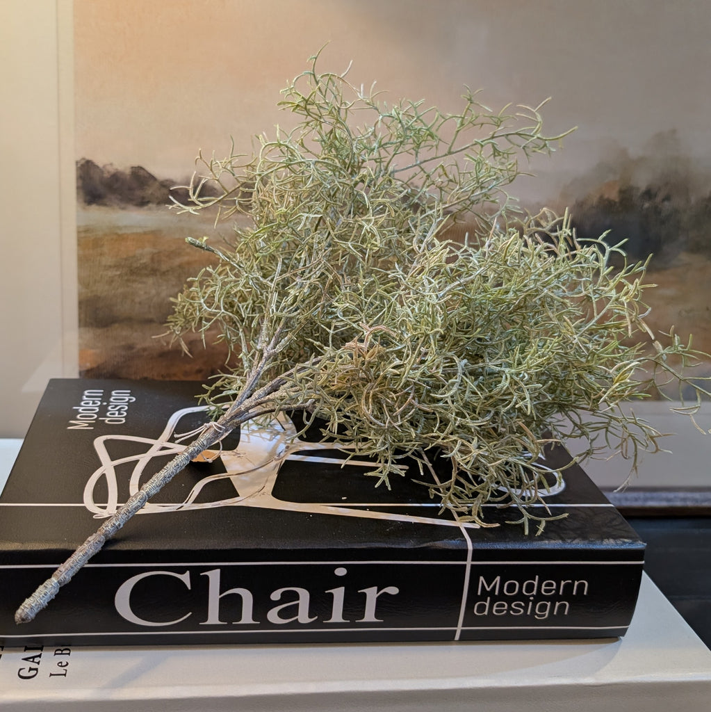 Spanish Moss Stem 30cm | Annie Mo's