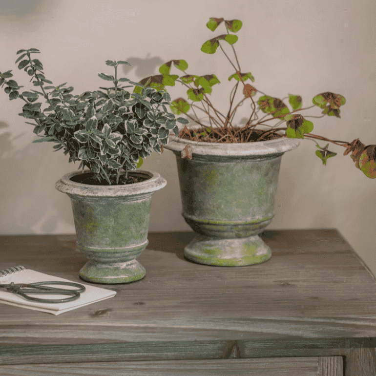 Patcham Planter - Size Choice | Annie Mo's