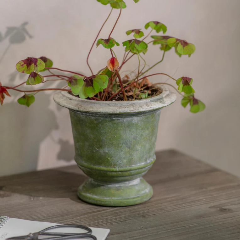 Patcham Planter - Size Choice | Annie Mo's C