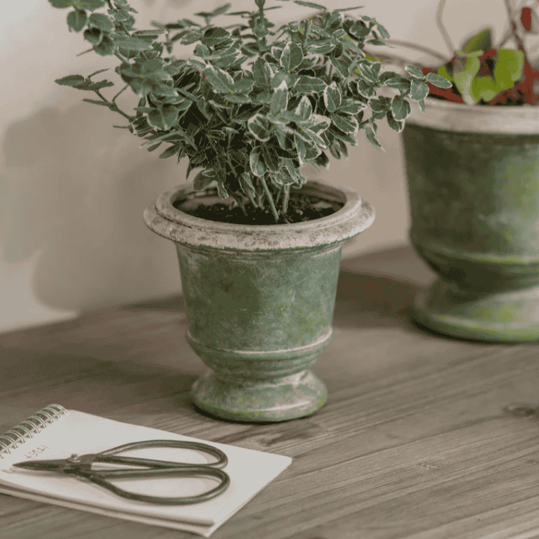 Patcham Planter - Size Choice | Annie Mo's B