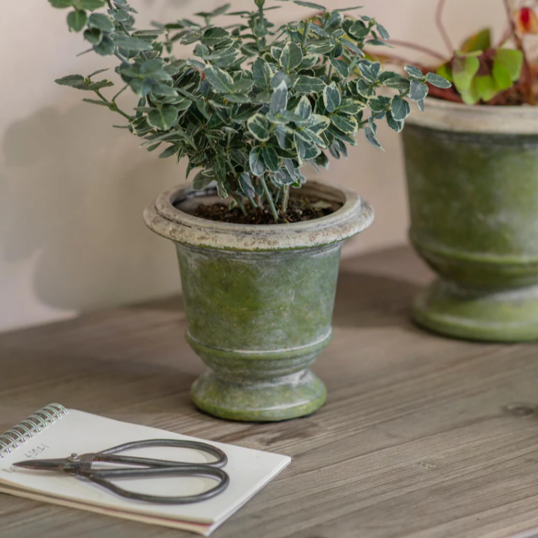 Patcham Planter - Size Choice | Annie Mo's B