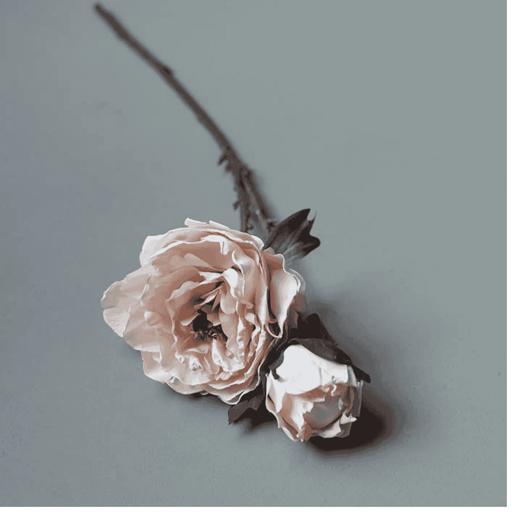 Peony Blush Stem 55cm-C