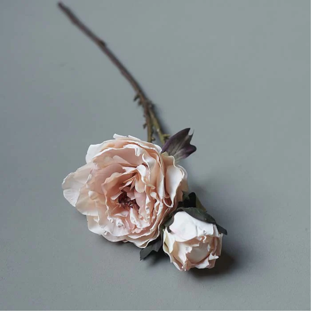 Peony Blush Stem 55cm