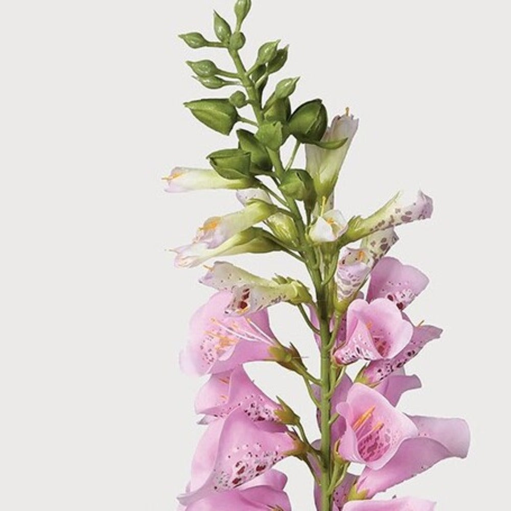 Pink Foxglove Spray with Leaves 87cm E