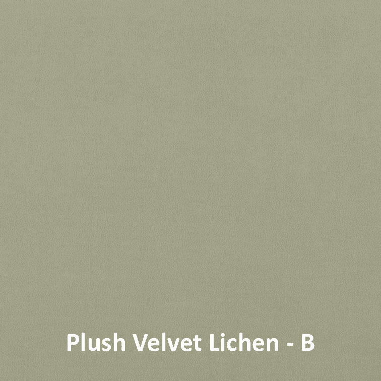 Plush Velvet Lichen