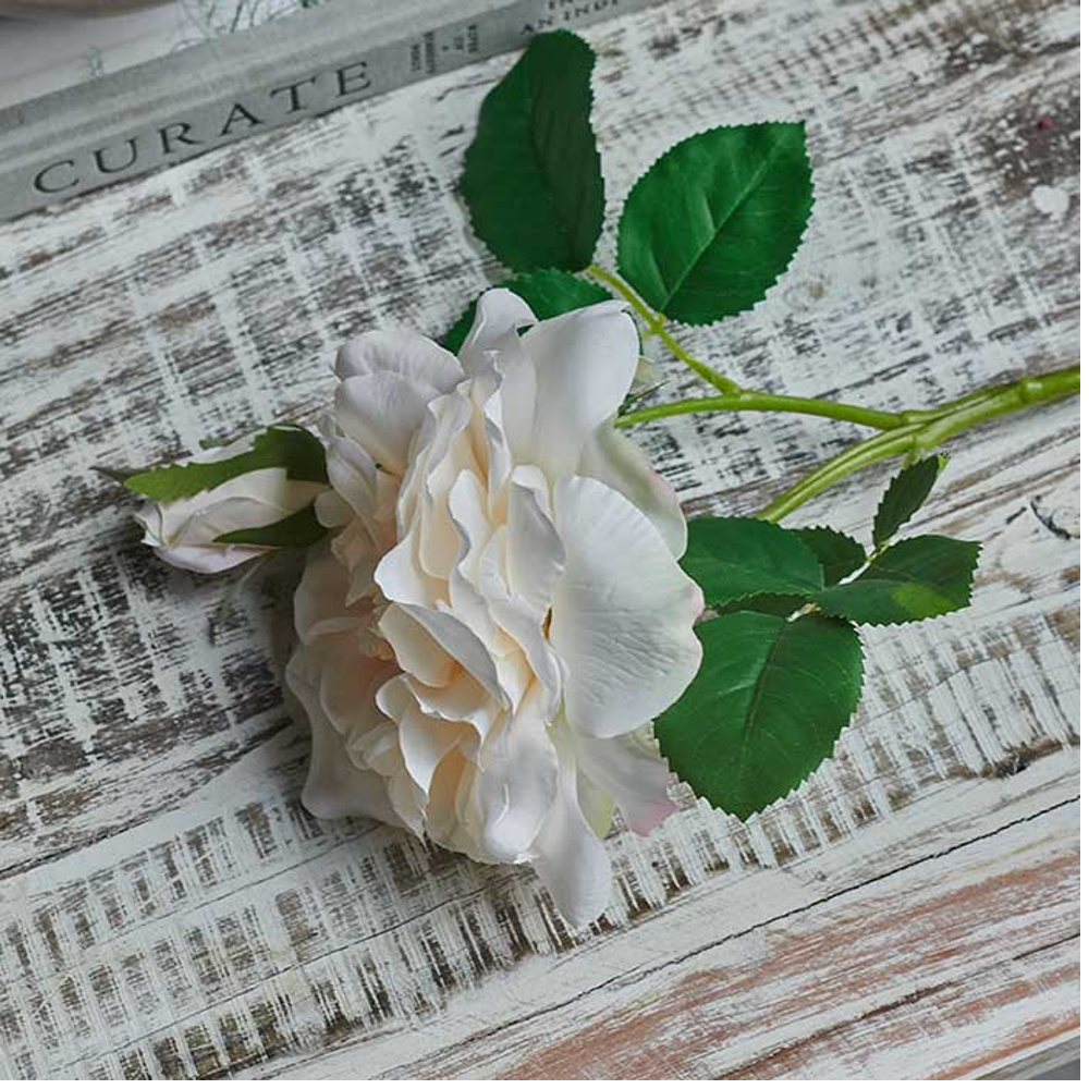 Rosa Vanilla Stem 35cm