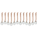 Sardi Star Baubles - Clear (Set of 12)