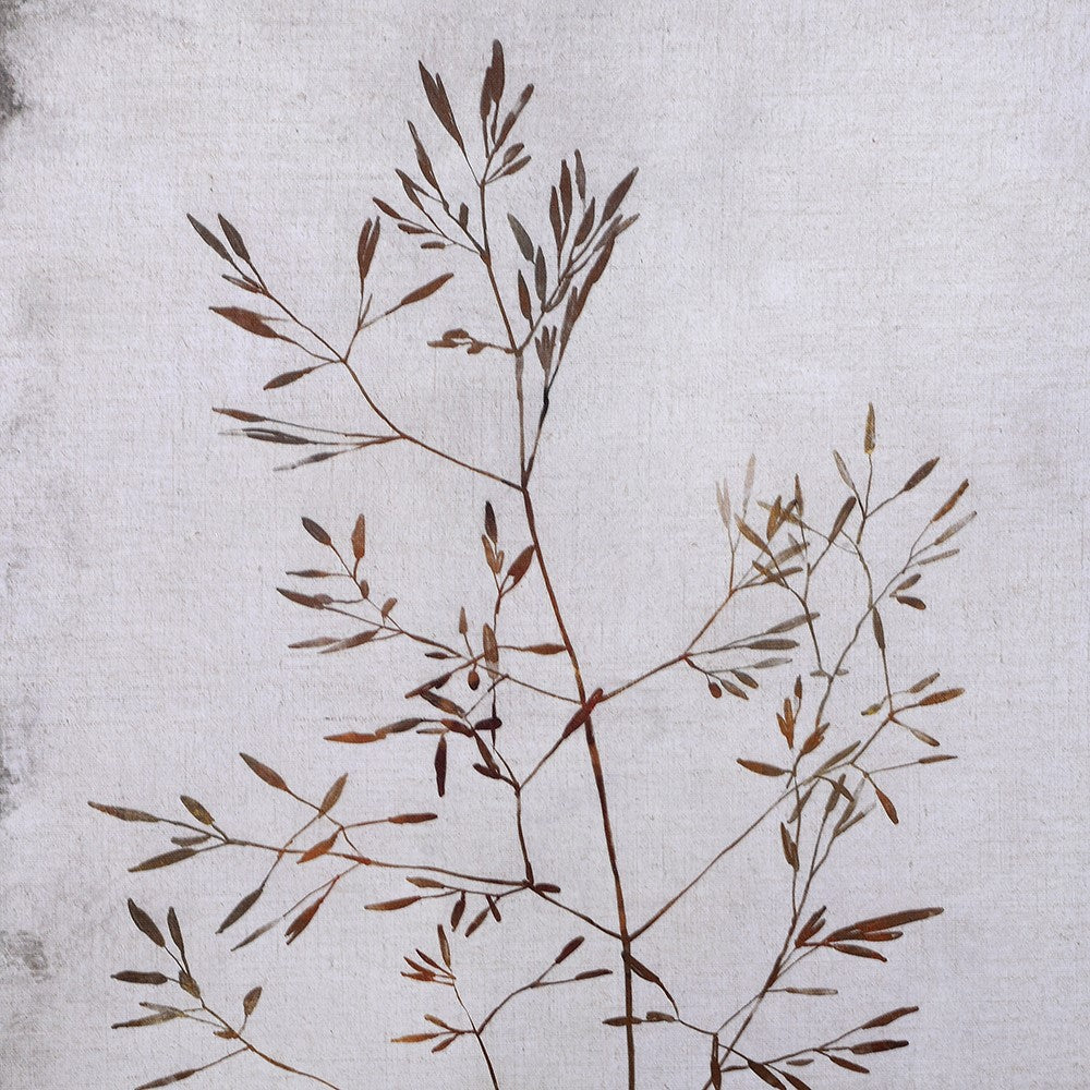 Set of Two Autumnal Trees on Canvas 120cmC