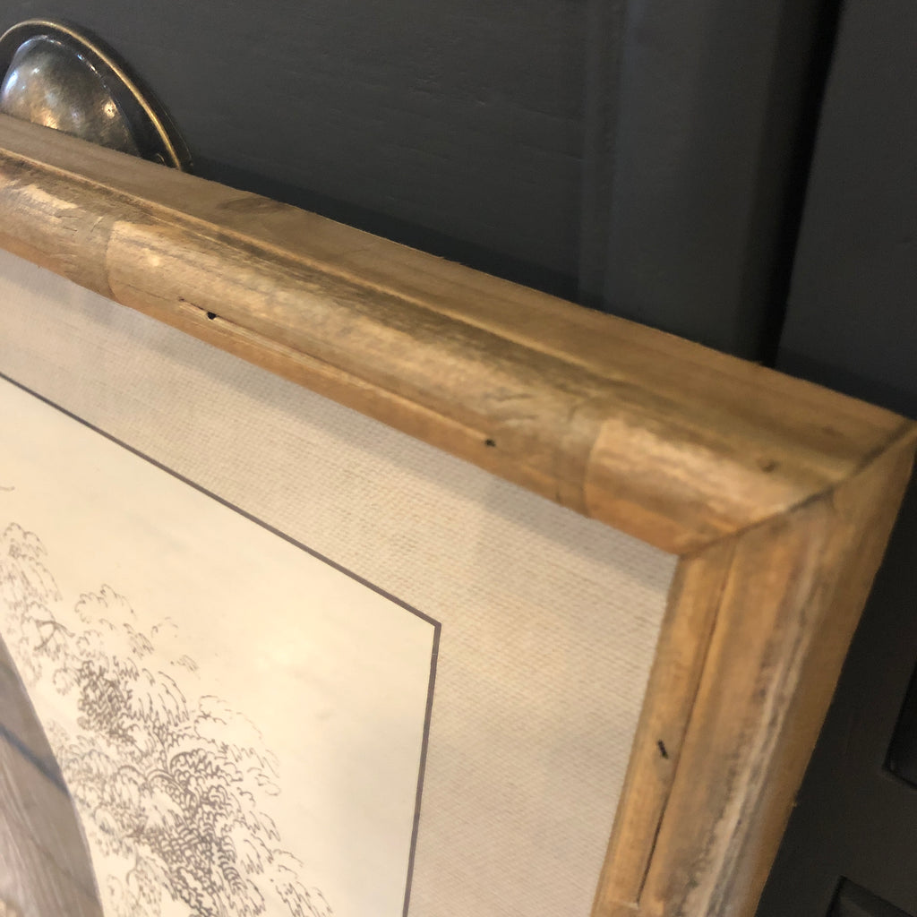 Set of Two Framed Blue Parrot Pictures 70cm C