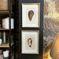 Two framed illustrations of oysters on a wall next to a rustic stone wall.