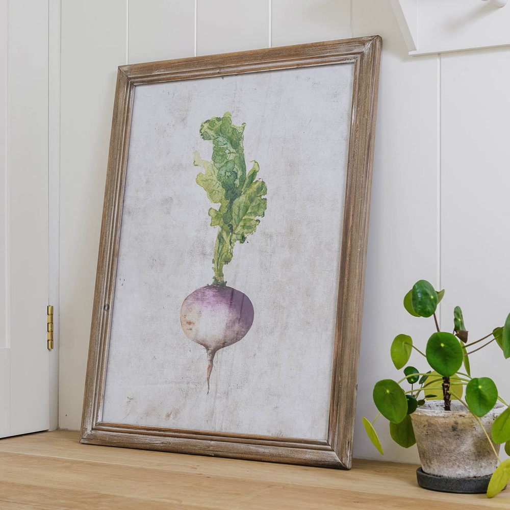 Croston Set of Four Root Vegetable Framed Prints 65cm