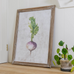 Set of Four Framed Root Vegetable Prints