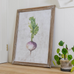 Croston Set of Four Root Vegetable Framed Prints 65cm