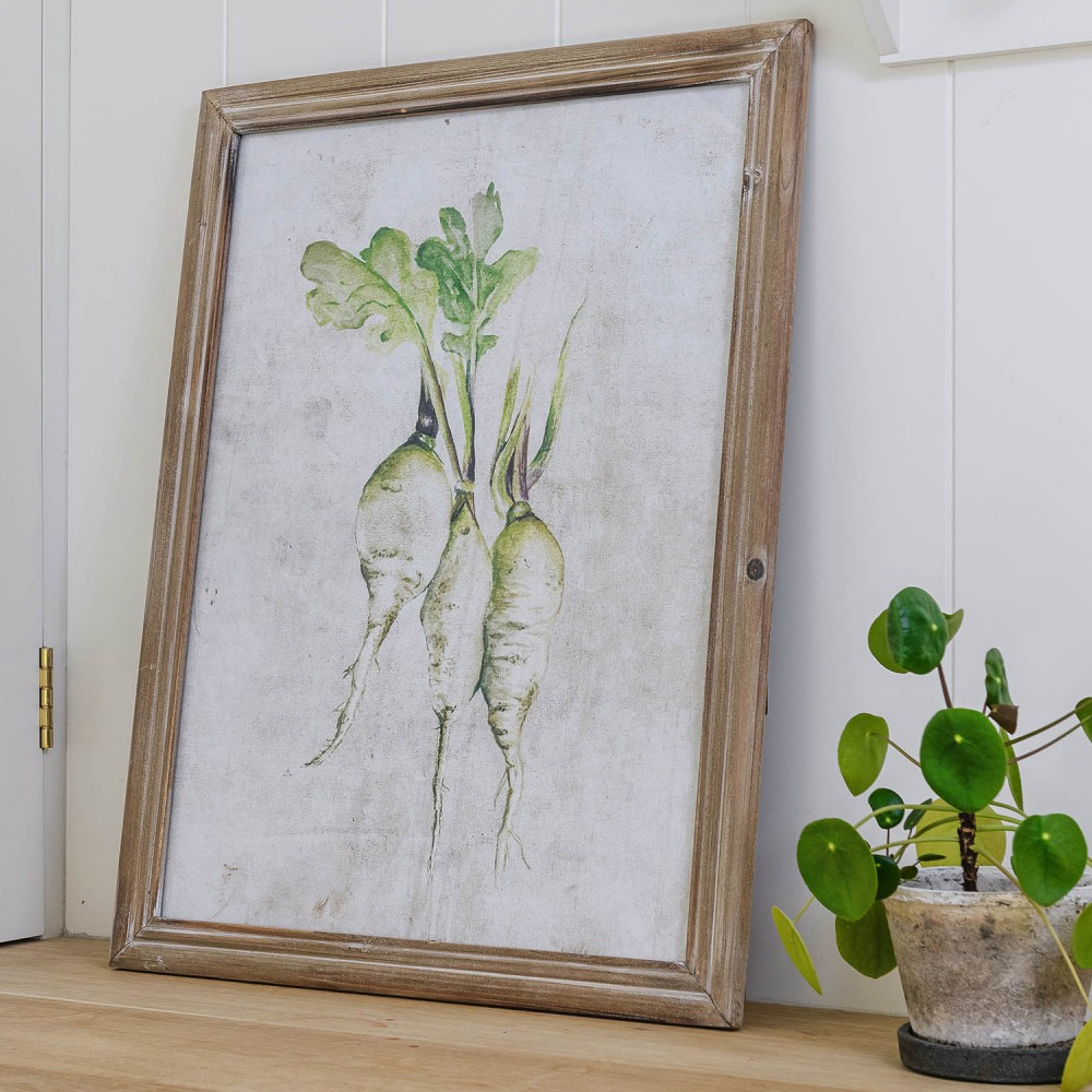 Croston Set of Four Root Vegetable Framed Prints 65cm