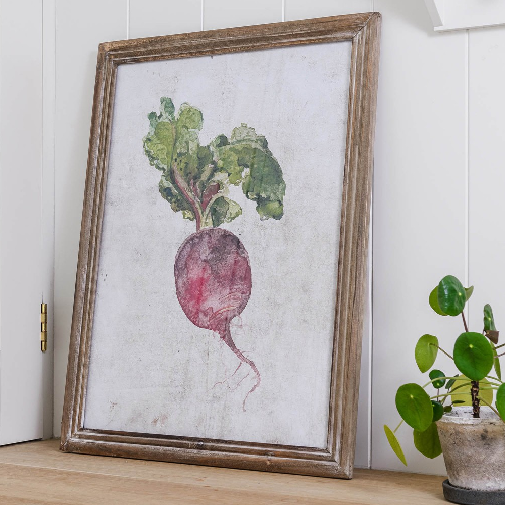 Croston Set of Four Root Vegetable Framed Prints 65cm