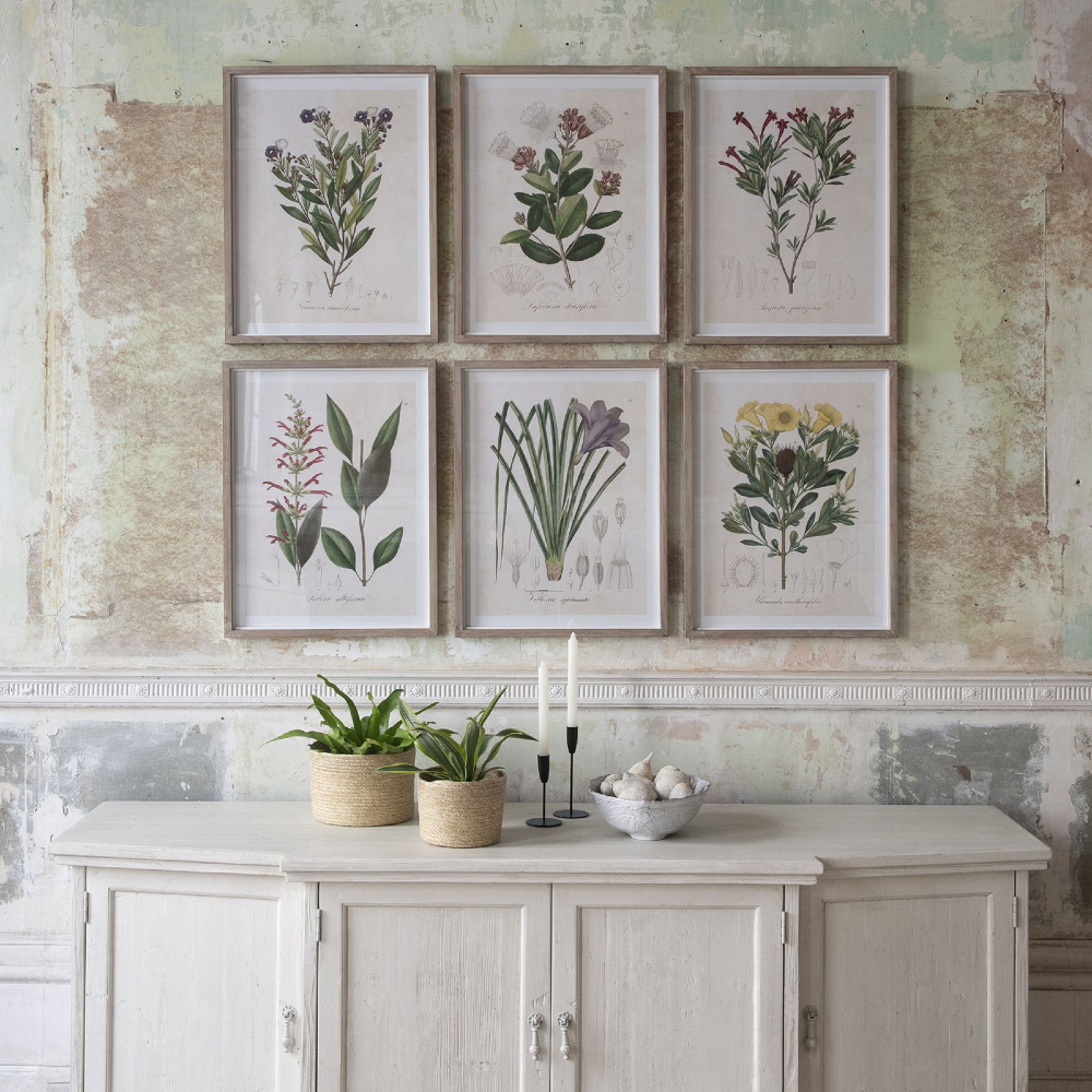 Ormington Set of Six Wildflower Framed Prints