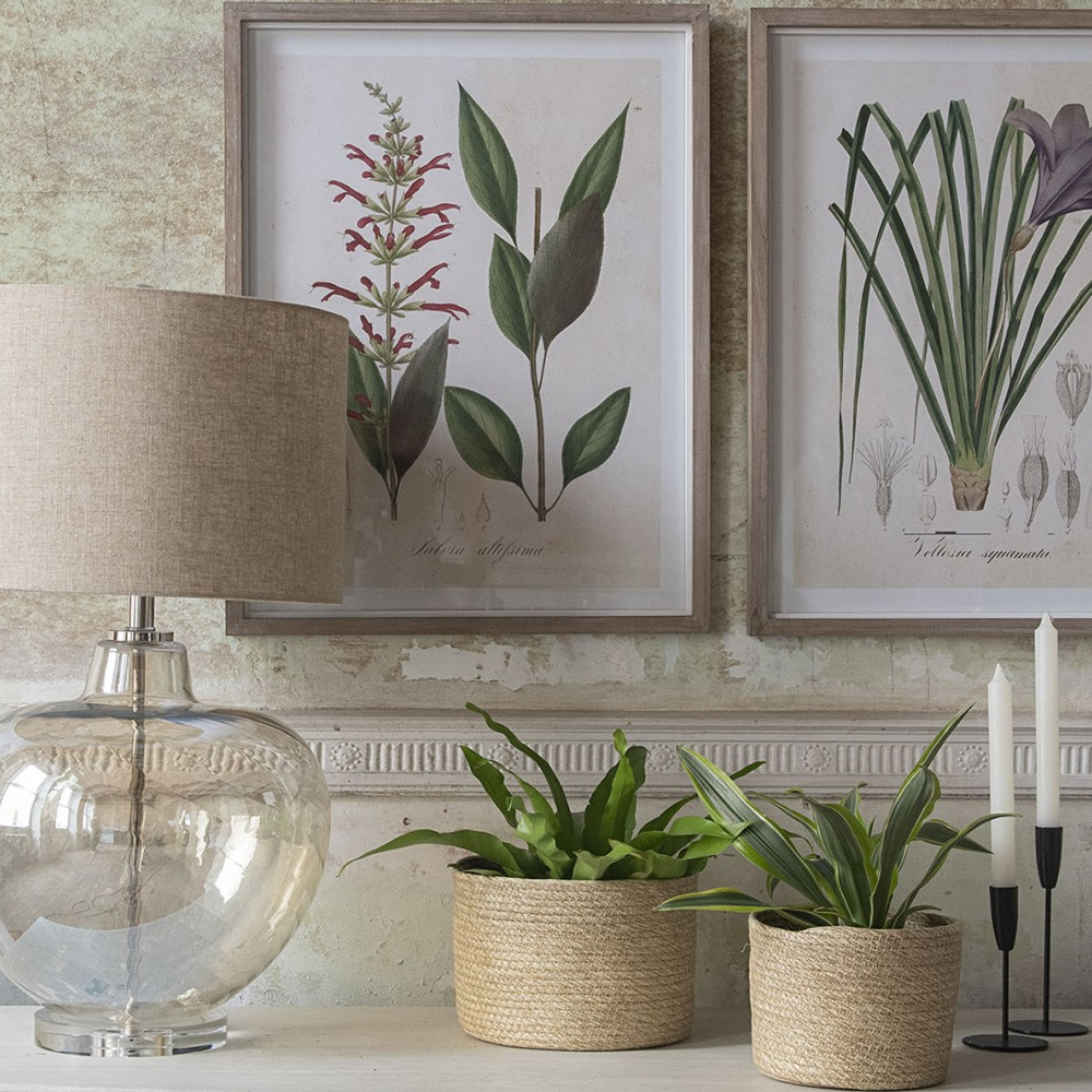 Ormington Set of Six Wildflower Framed Prints