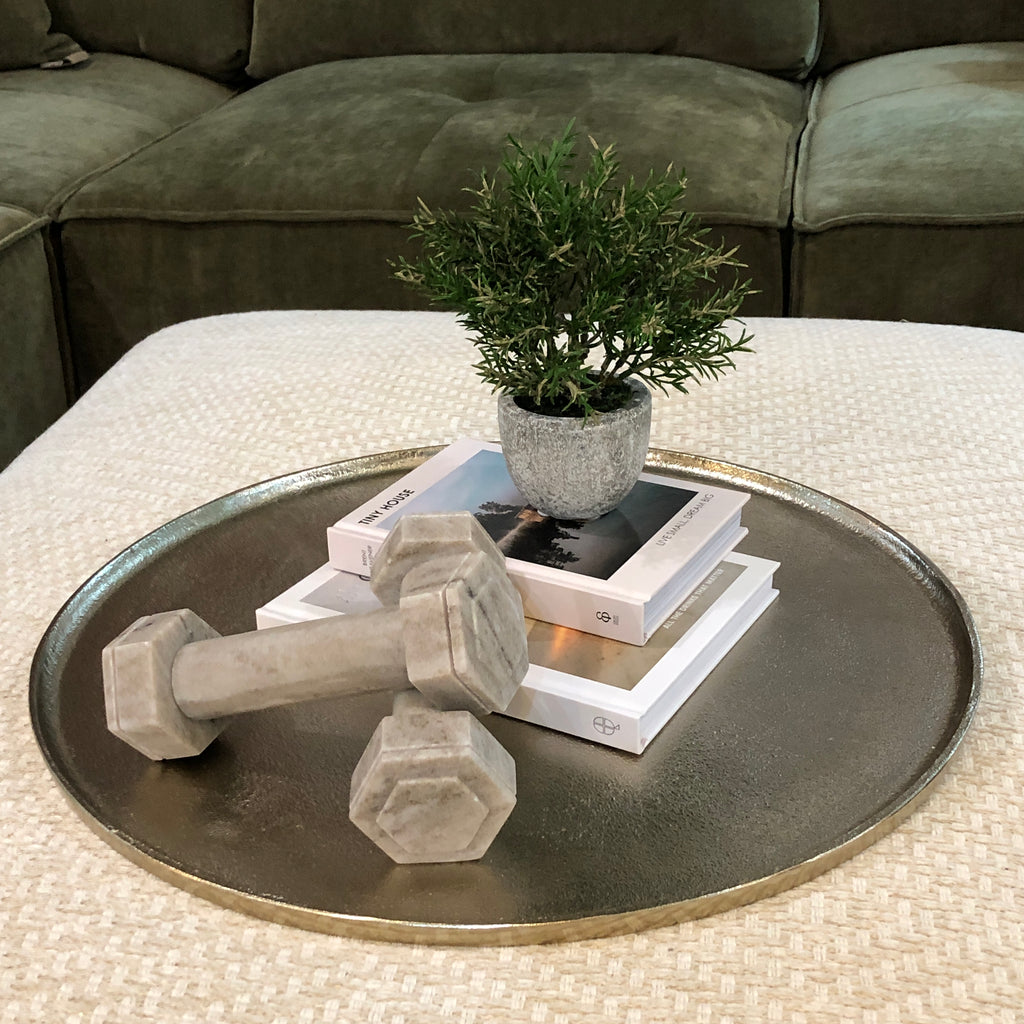 Small Rosemary Bush in Clay Pot 21cm C