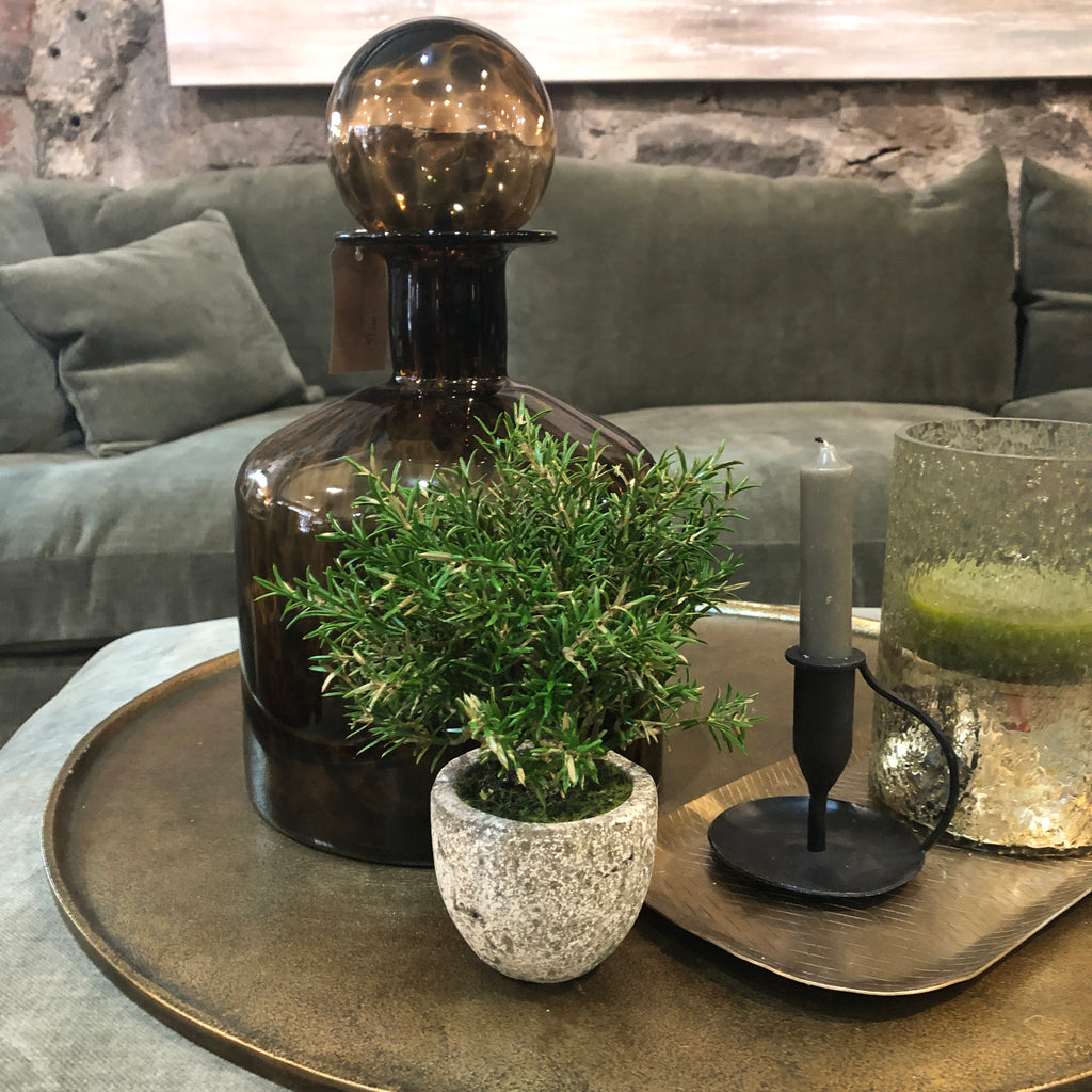 Small Rosemary Bush in Clay Pot 21cm G