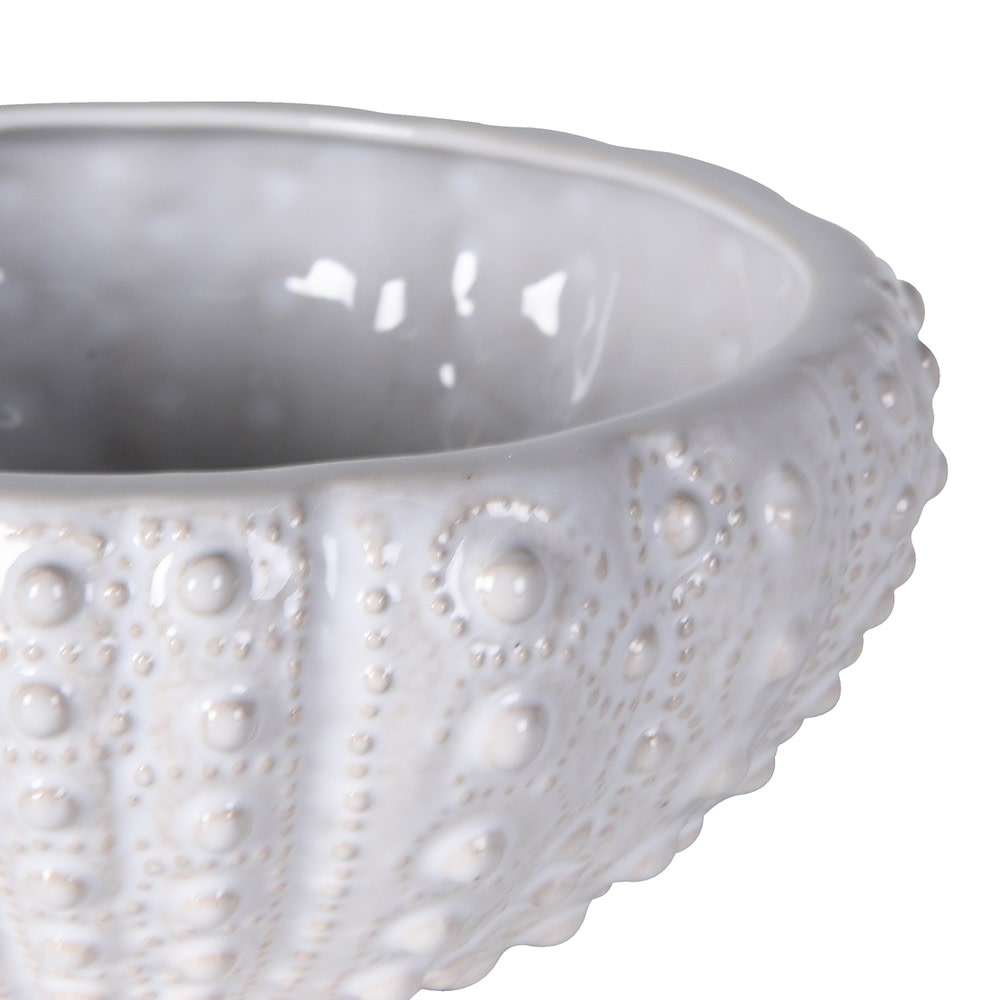 Small White Urchin Bowl 16cmB