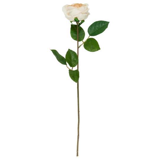 Soft Beige Faux Rose Stem 50cm
