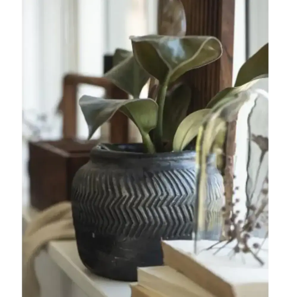 Black Cement Grooved Pot 12cm
