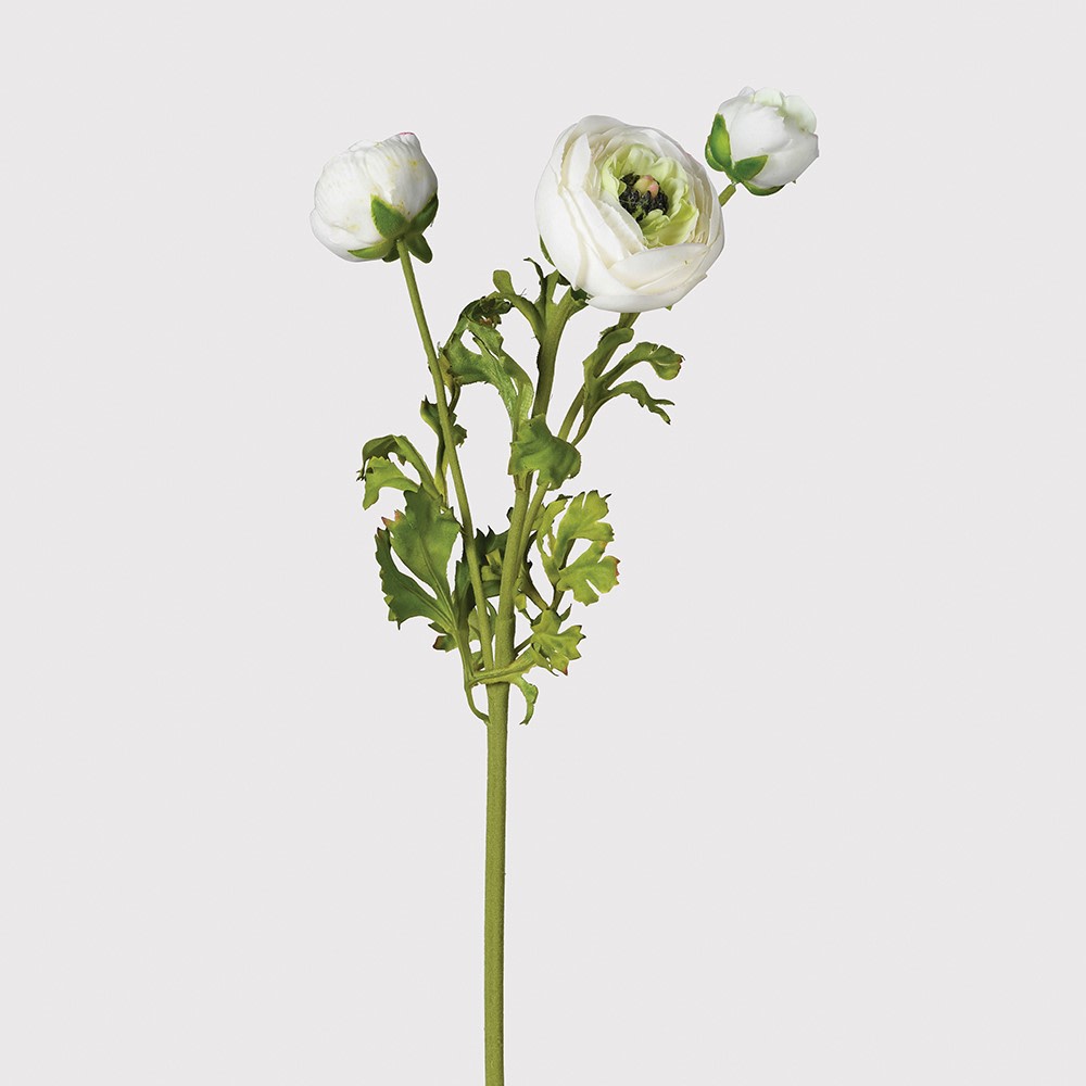 White Real Feel Ranunculus with Leaves 62cm