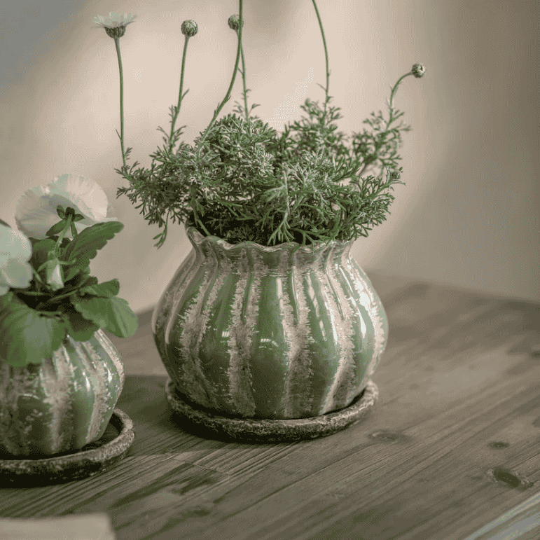 Wickham Planter - L | Annie Mo's