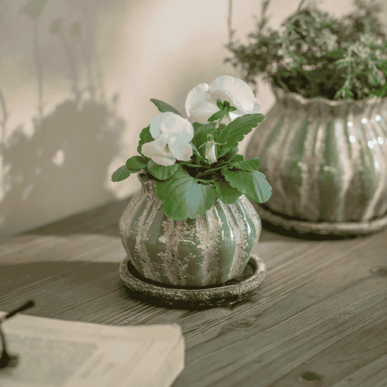 Wickham Planter - S | Annie Mo's
