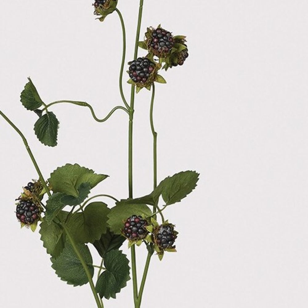 Wild Blackberry Spray with Leaves 96cm B