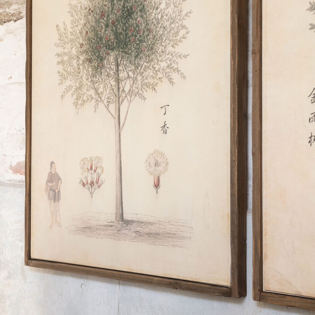 Rivington Set of Two Chinese Tree Framed Prints 100cm