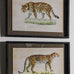 Brockby Set of Two Framed Leopard Wall Art 50cm