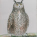 Brookby Set Of Two Framed Owl Wall Art 73cm
