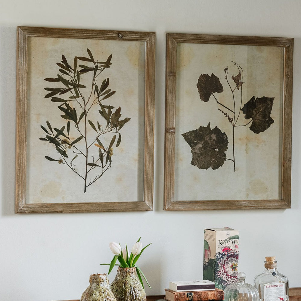 Ormington Set of Two Decorative Leaf Framed Prints 53cm